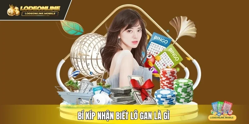 Bí kíp nhận biết lô gan là gì