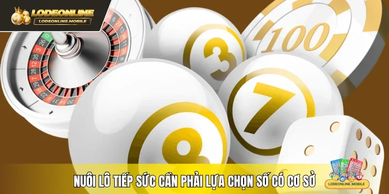 Nuôi lô tiếp sức cần phải lựa chọn số có cơ sở 