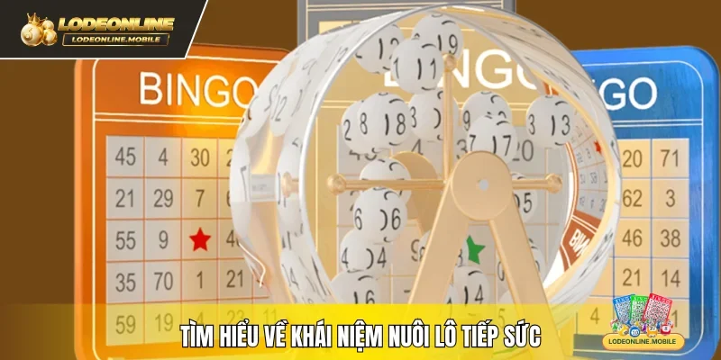 Tìm hiểu về khái niệm nuôi lô tiếp sức 